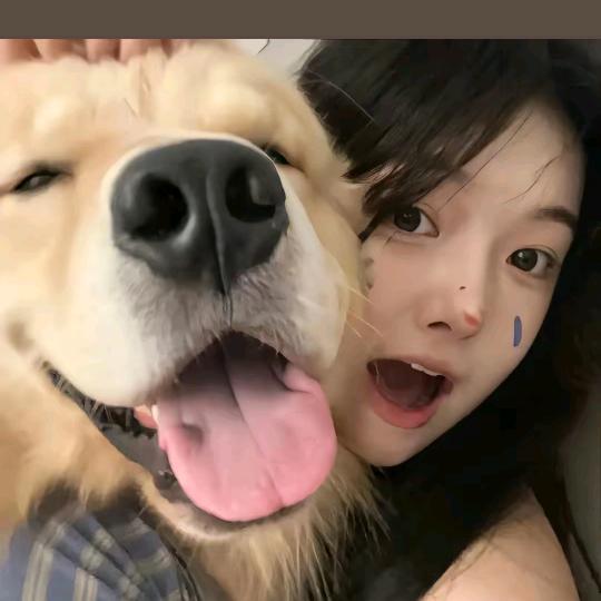 汪喵好物集分享