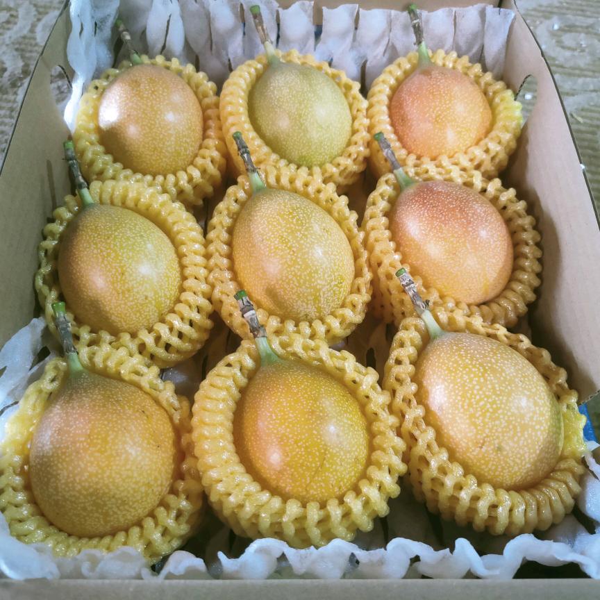 景洪果宝宝生鲜坊