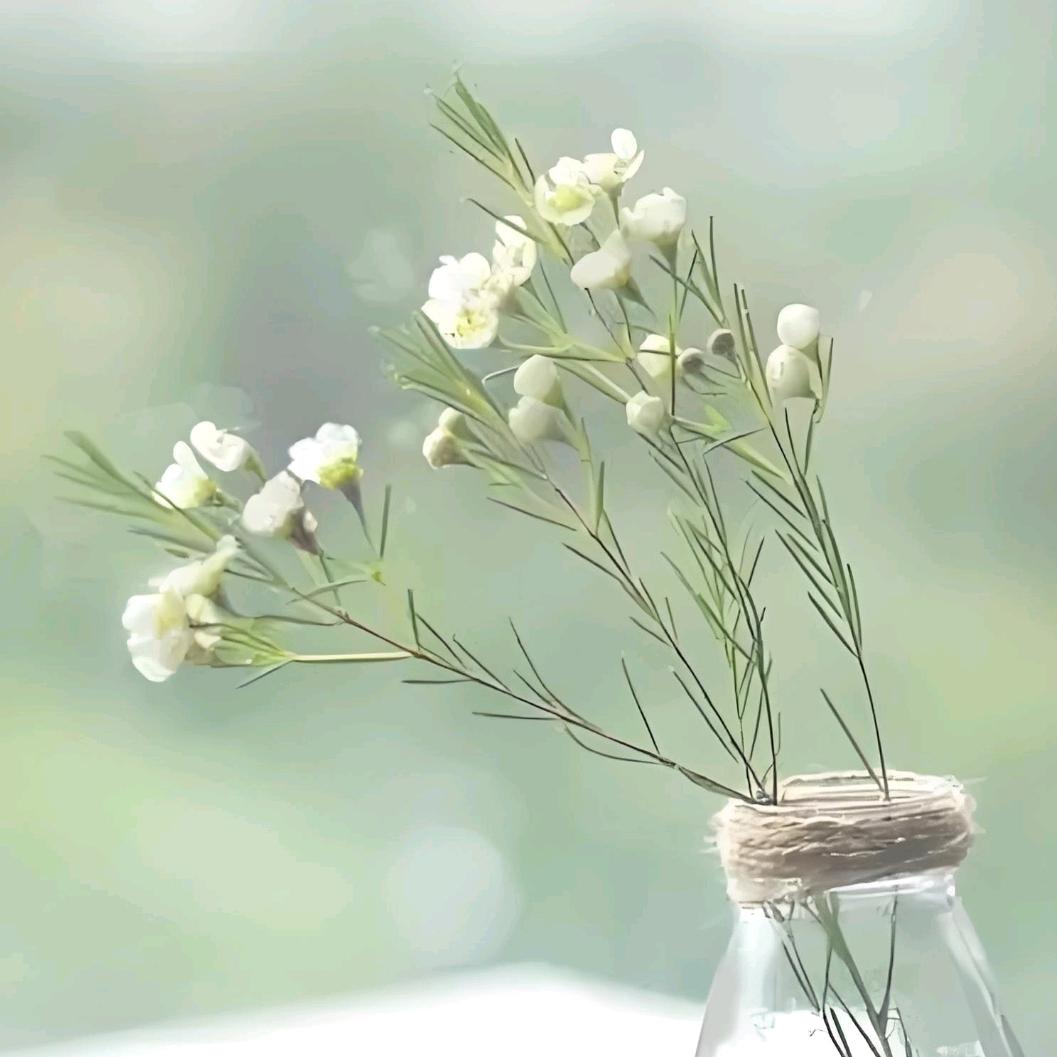 朵朵白云开