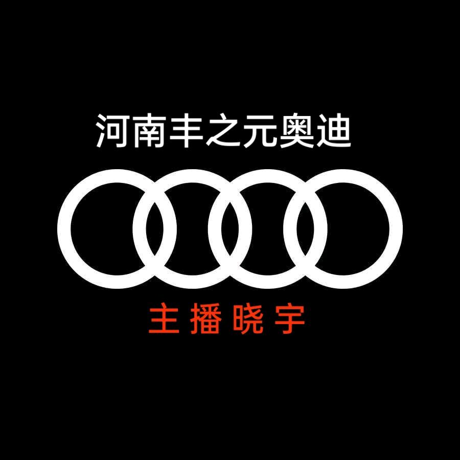 河南丰之元奥迪车品牌店