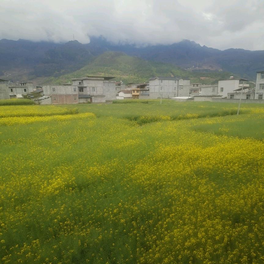 凉山妹