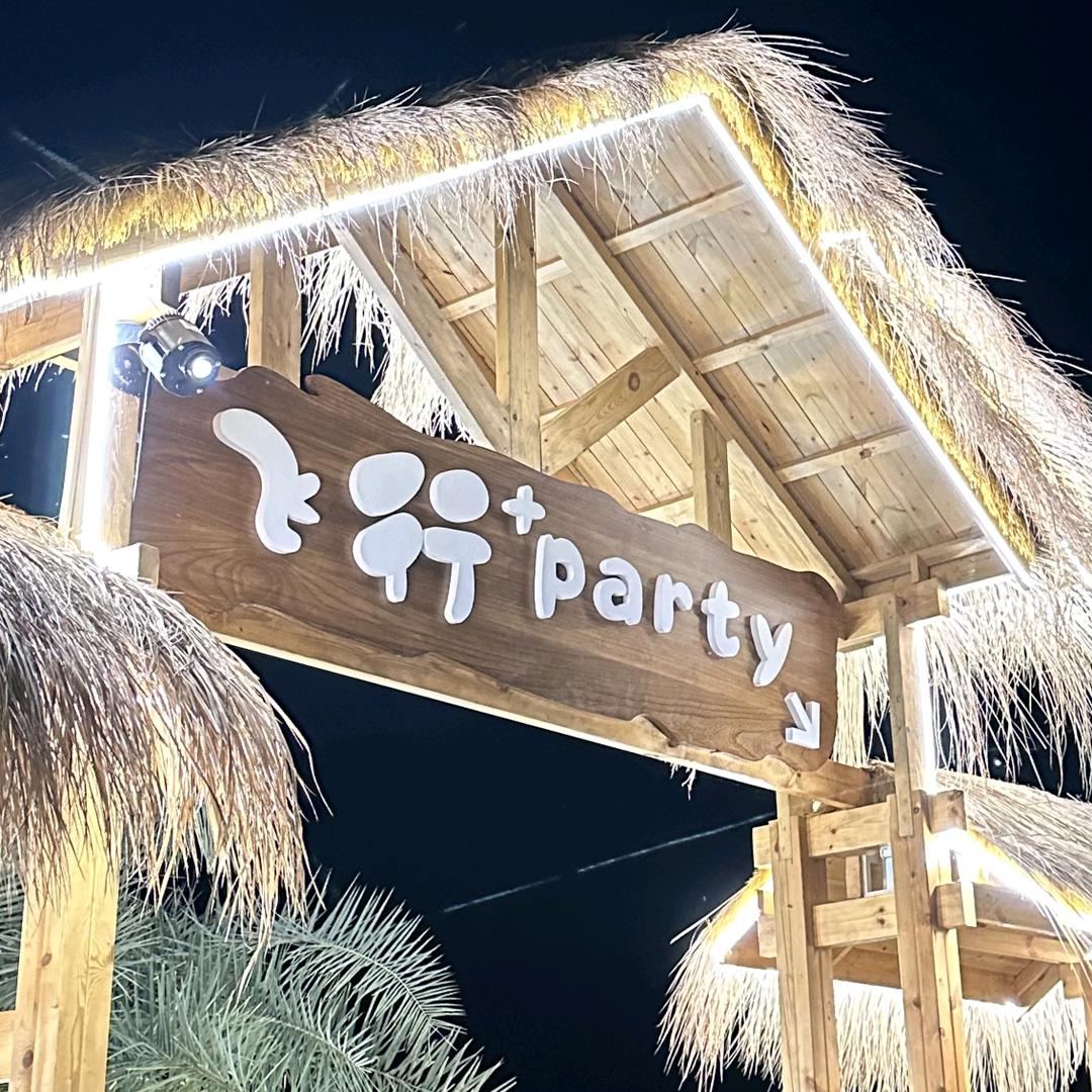 平利县飞行加派对