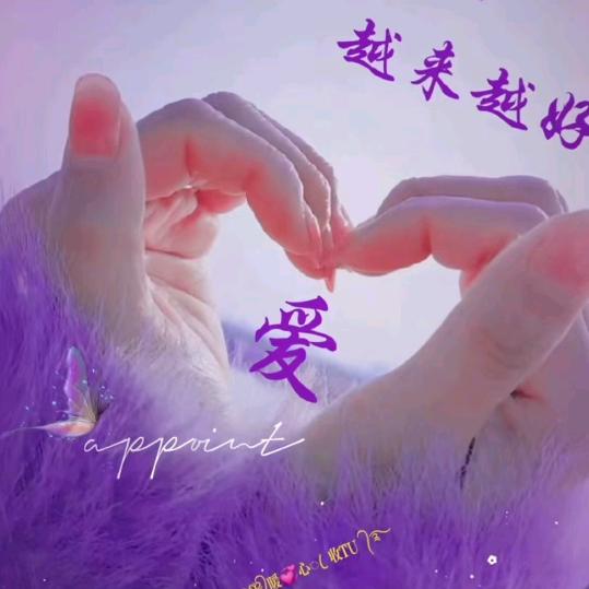 一心向阳