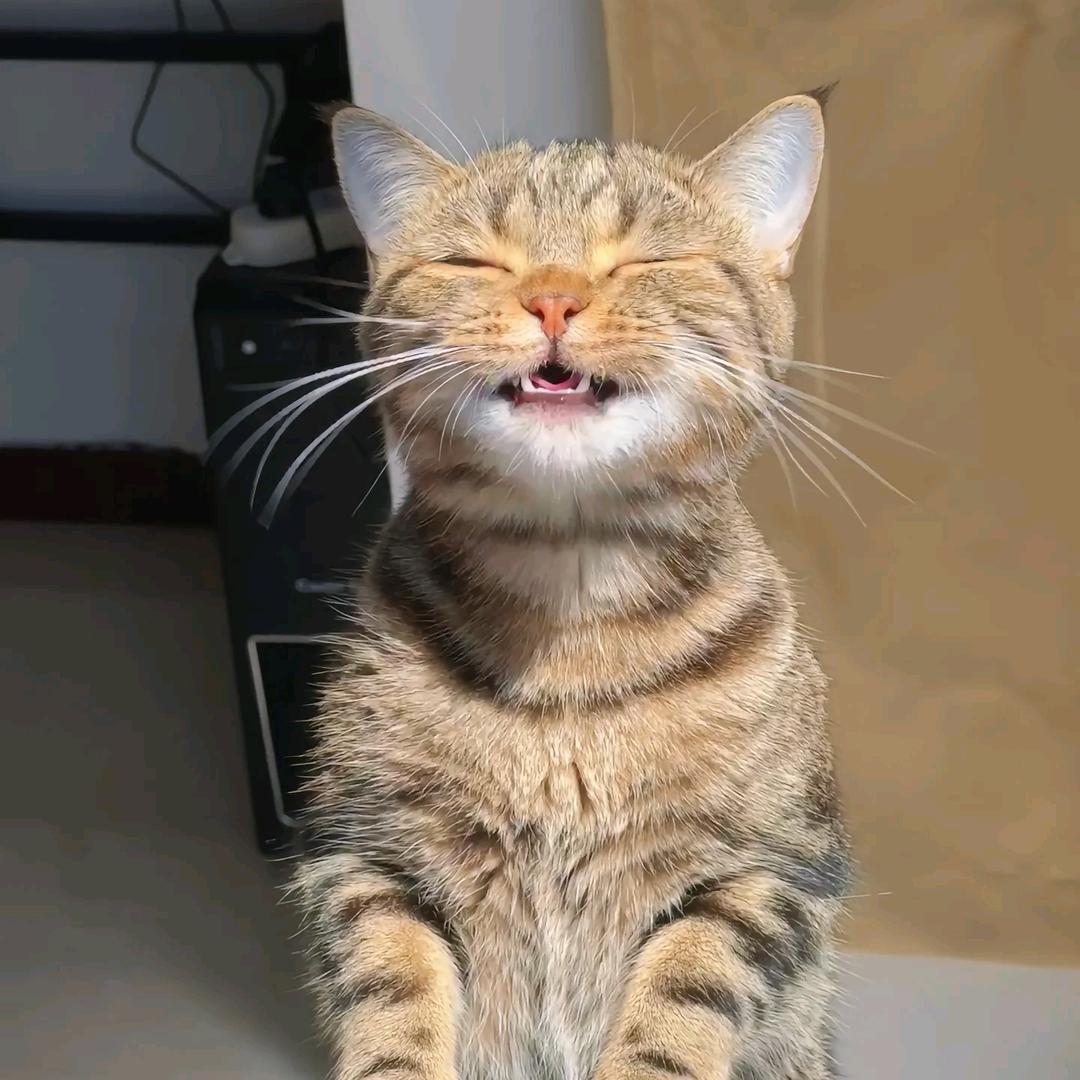 眼镜宝