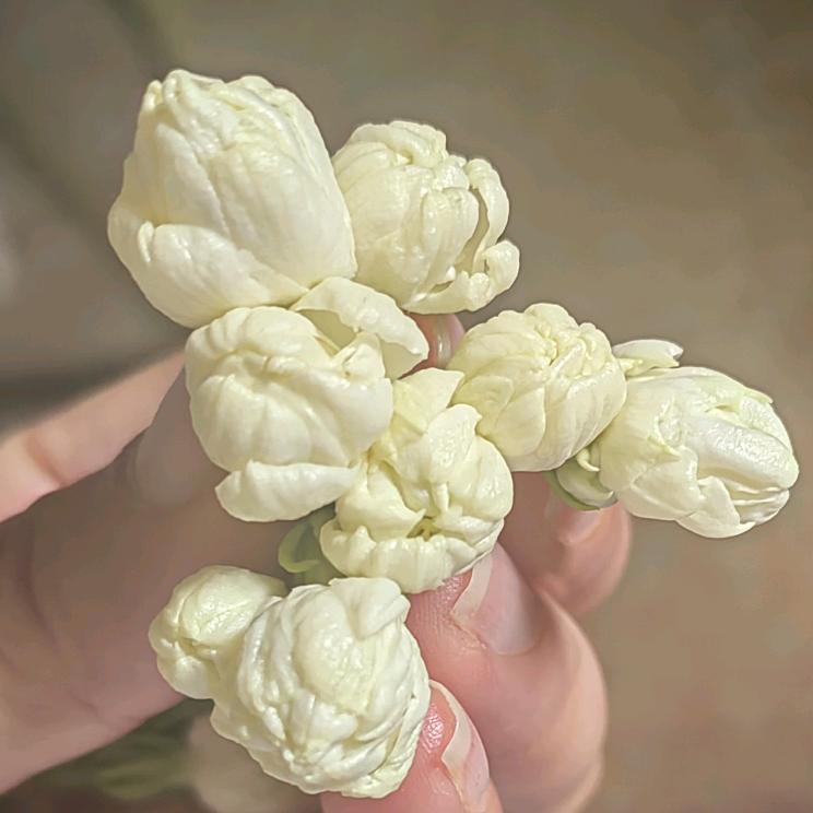 闭小姐