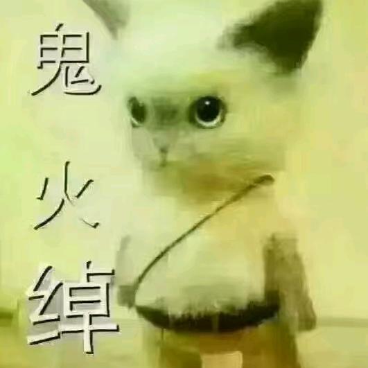 有货记得找我