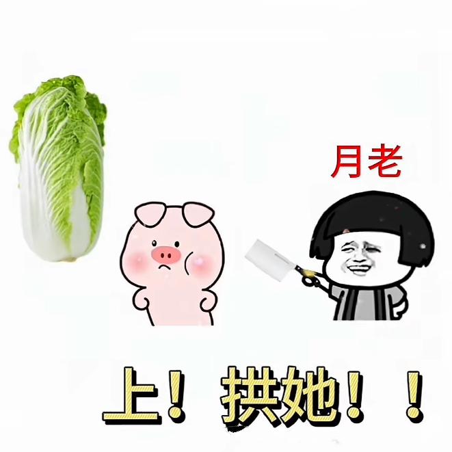 Dr.'卟卟