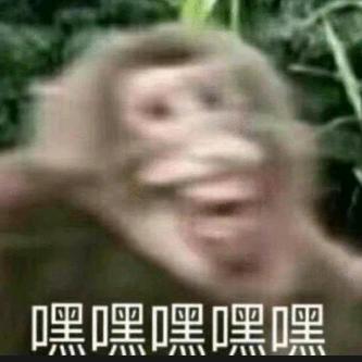 花果山腚最红的大母猴