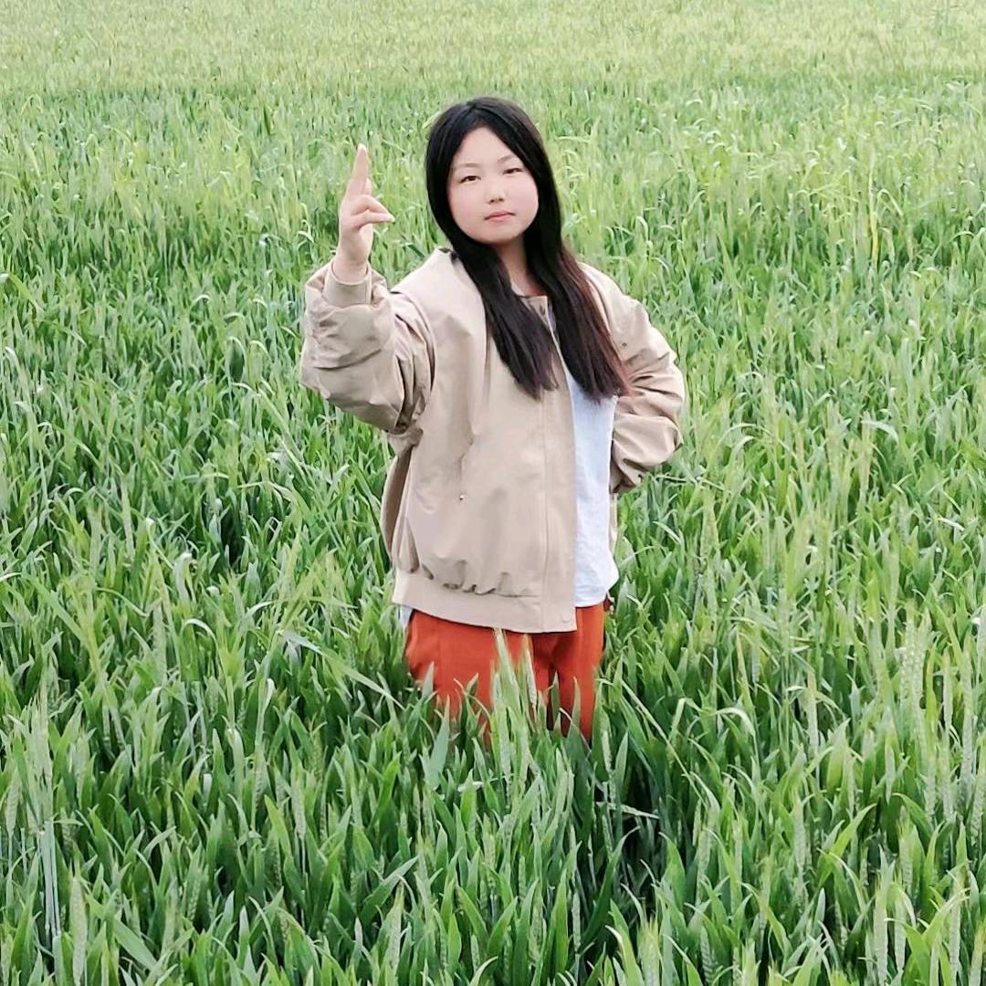 美美