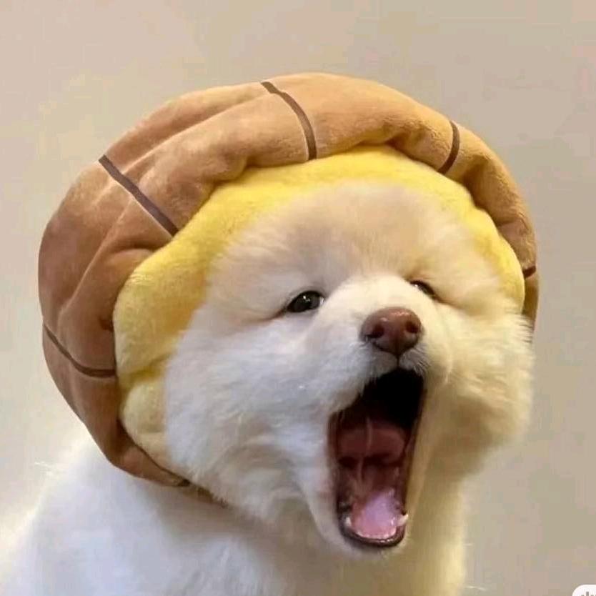 耳日阳