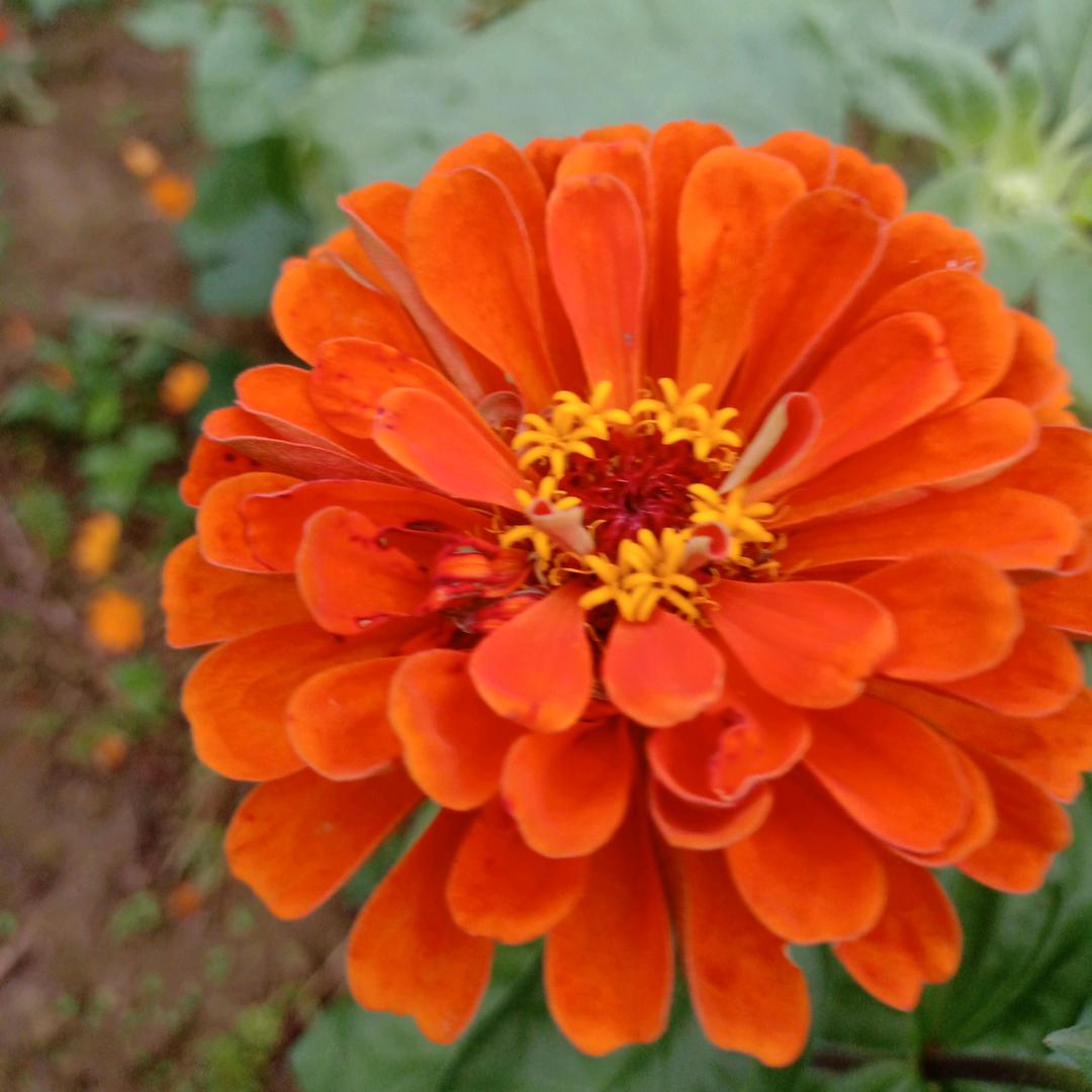 我是一个爱笑的女孩