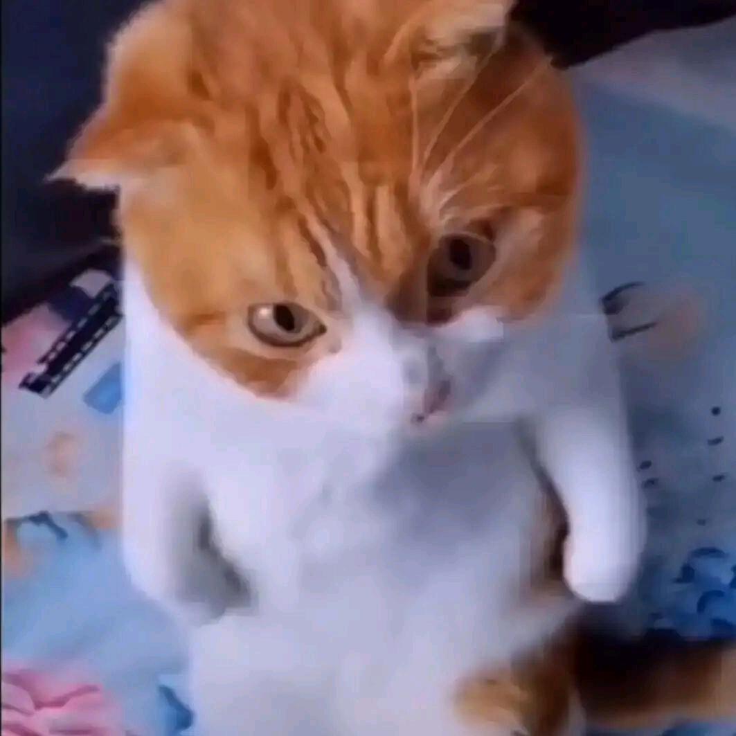 彳亍