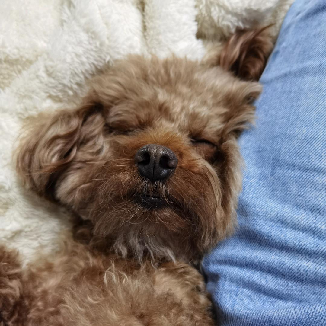 你说你吃排骨