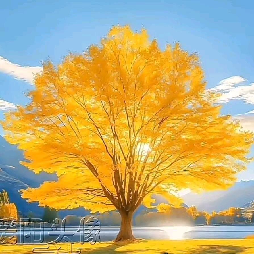 太阳哥哥