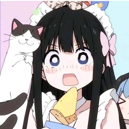 小猫桃