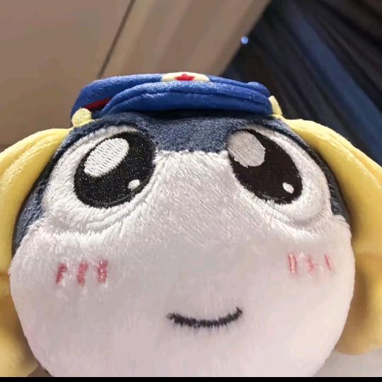 狗子