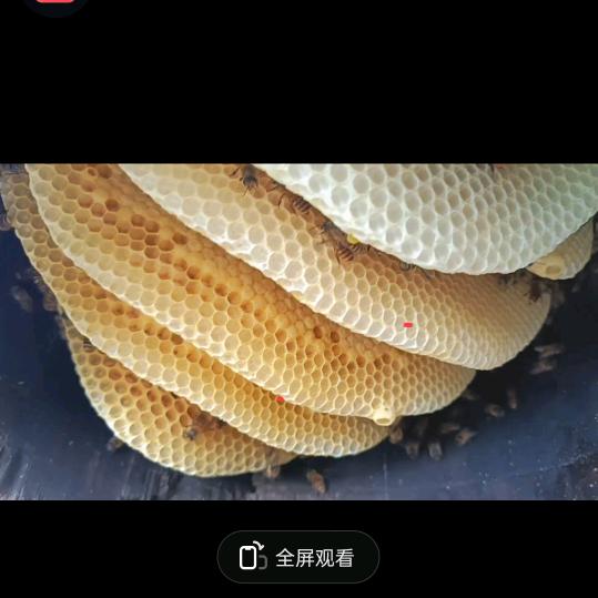农村李妹