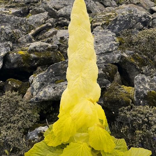 彭pji    首播：2：10