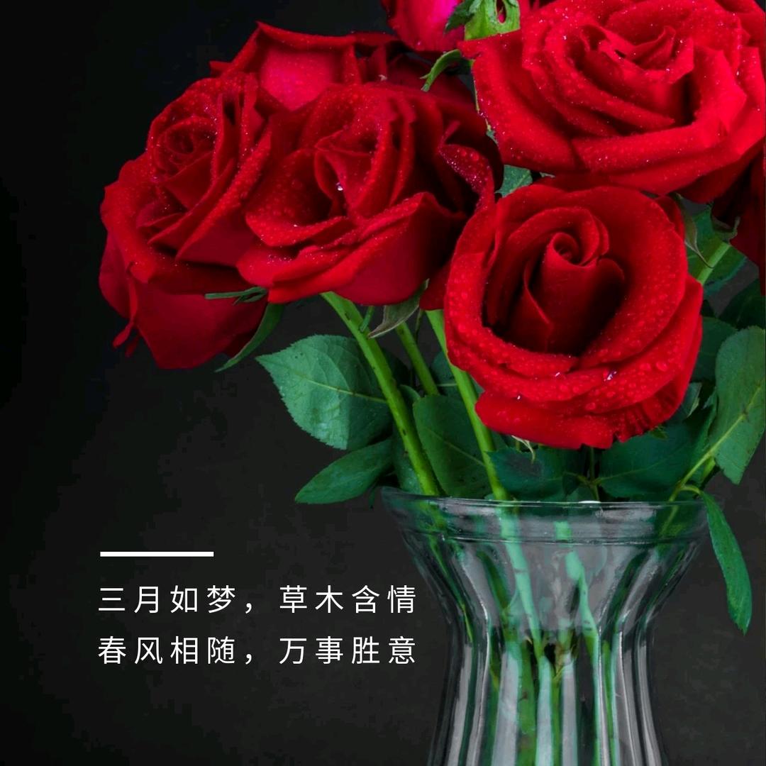 冠能农业企业店