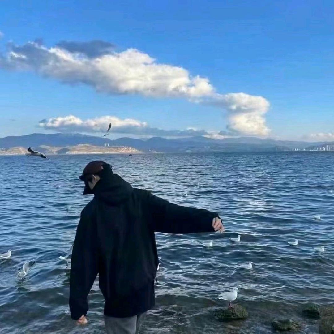 智