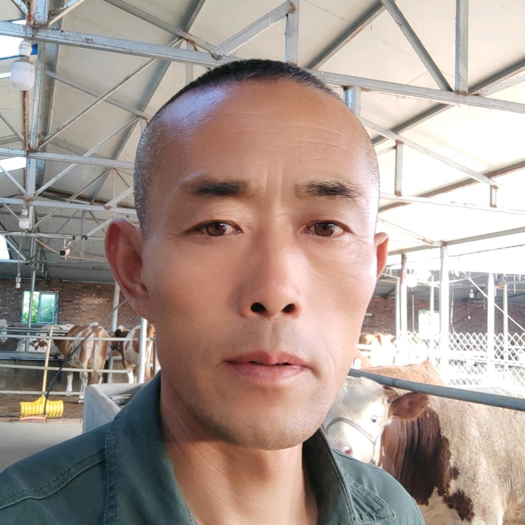 黄哥专业养牛