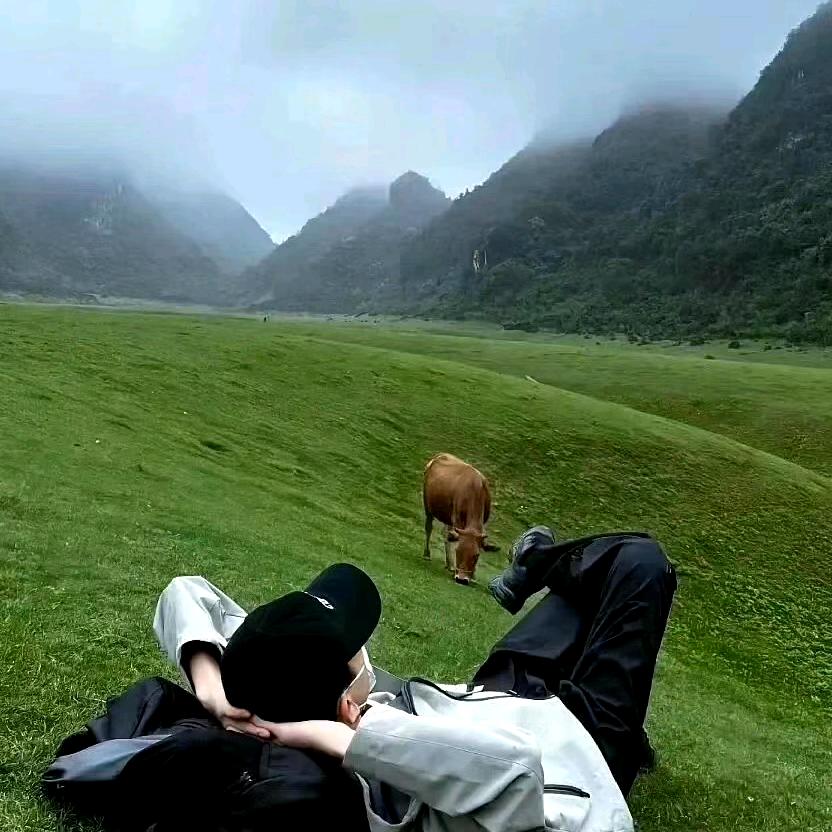沈阳大亮二手车批发
