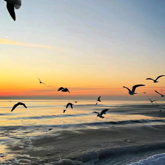 株洲升学万事通