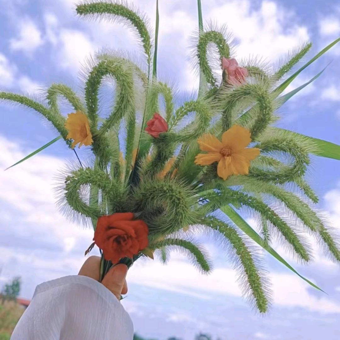 快乐 '͜'(ᵕ—ᴗ—)