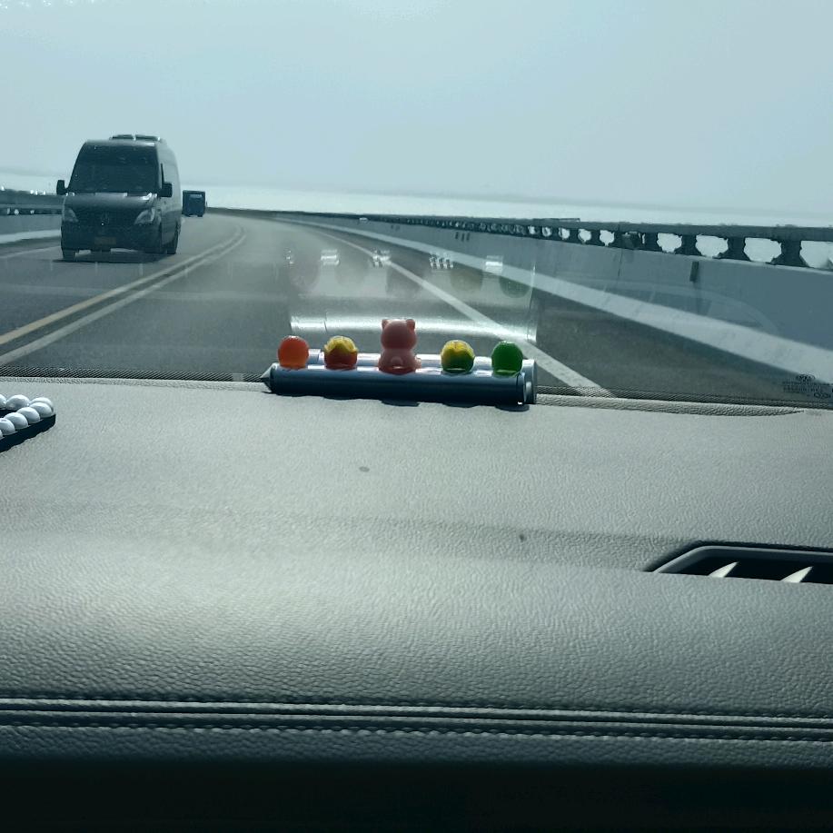 不必谁懂我《潘》