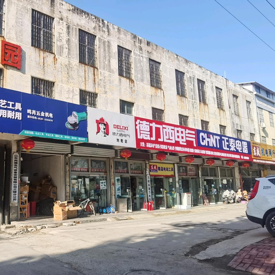 兰陵县德力电气商行