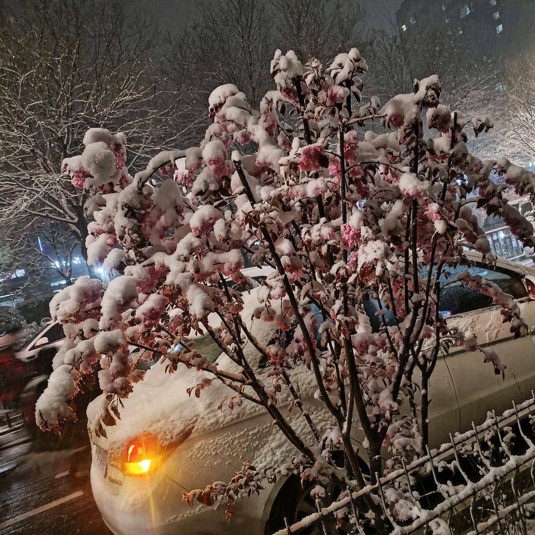 宣墨(๑• . •๑)