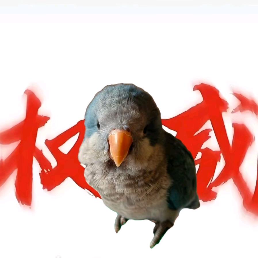 鹦鹦怪