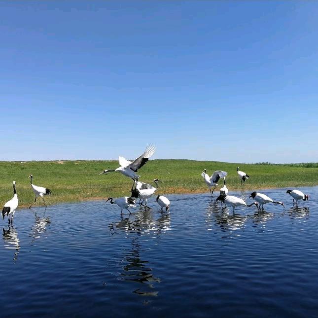 ღ֯一心入一人ౢ