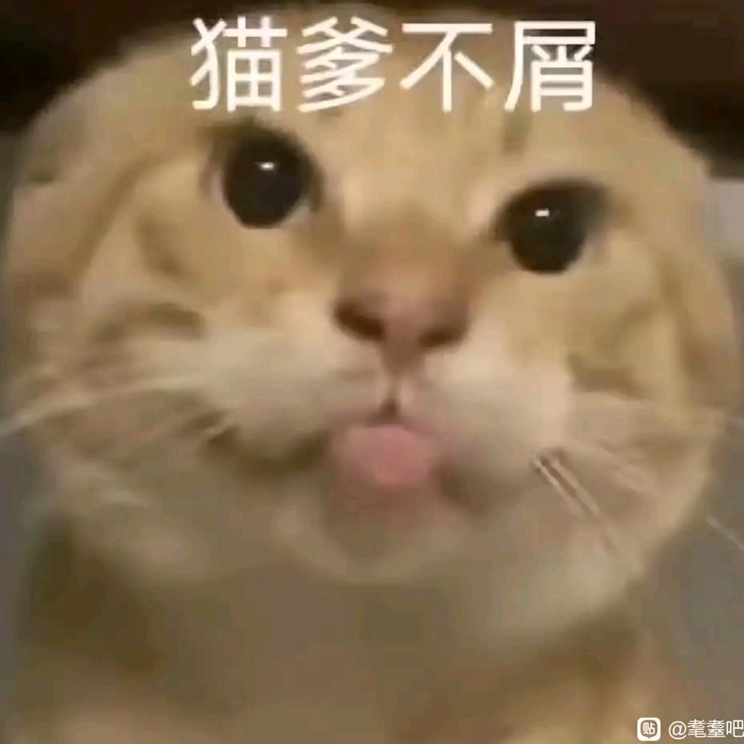 77公主🌺🌷🌸🌹💐