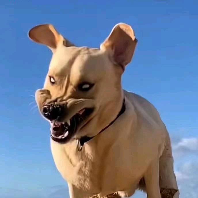 贰