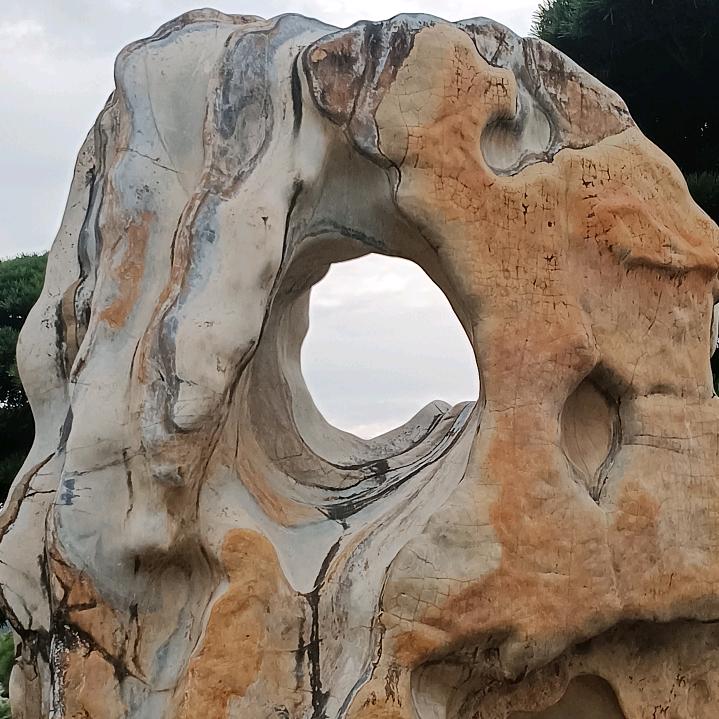 刘大姐，家有三宝