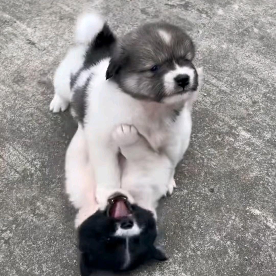 锁喉