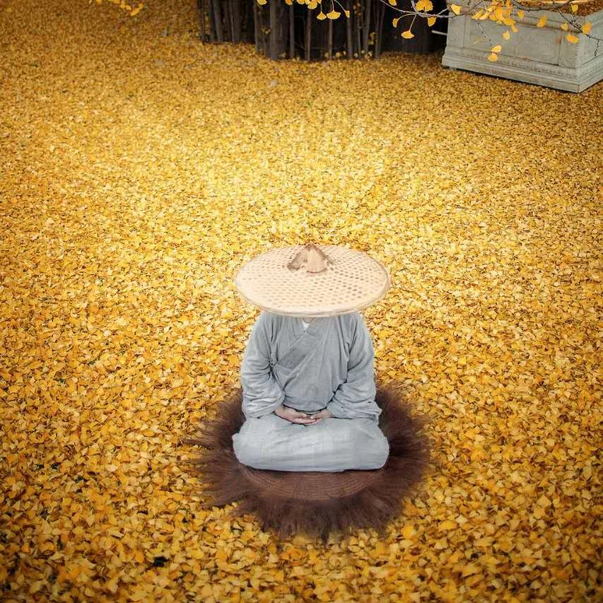 静心
