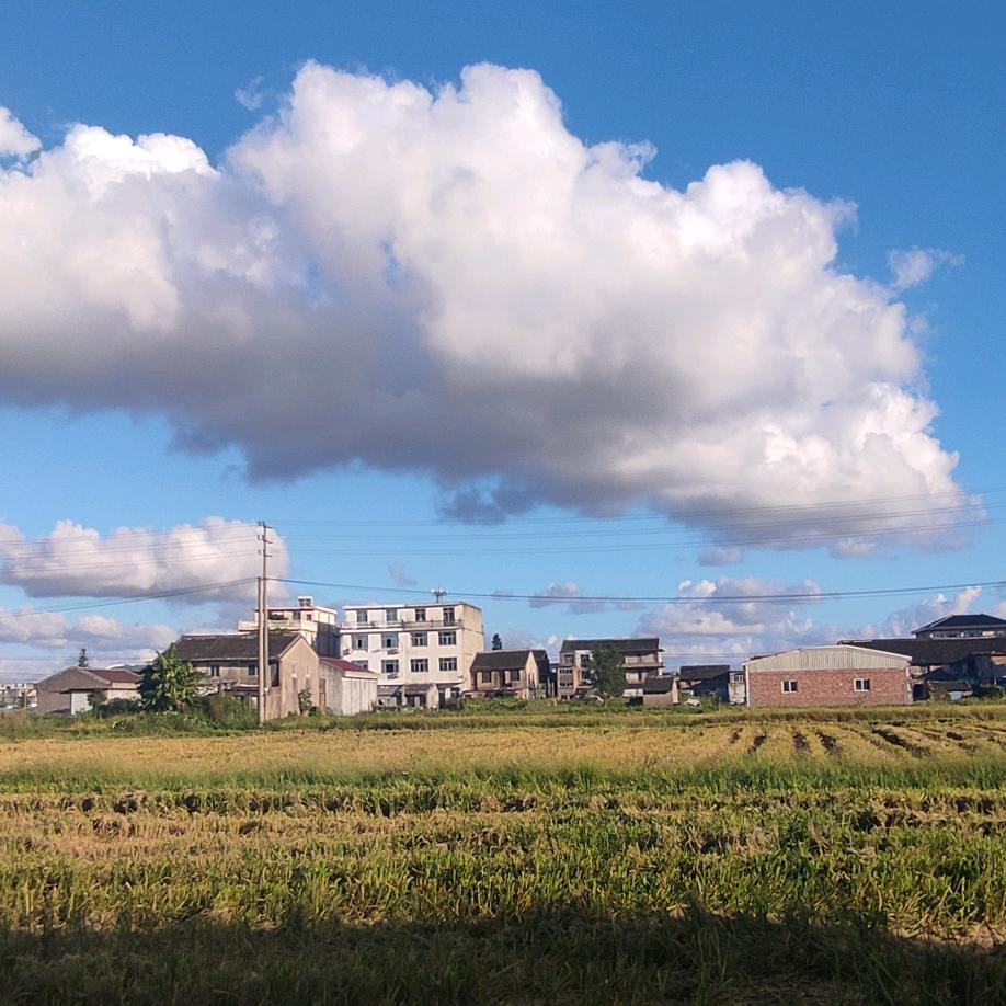 鱼缸罐头六年之约