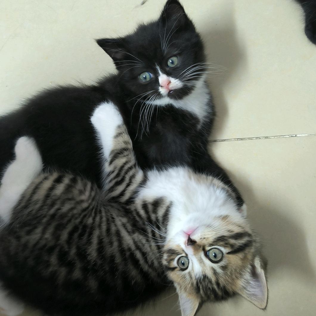 渝🐱