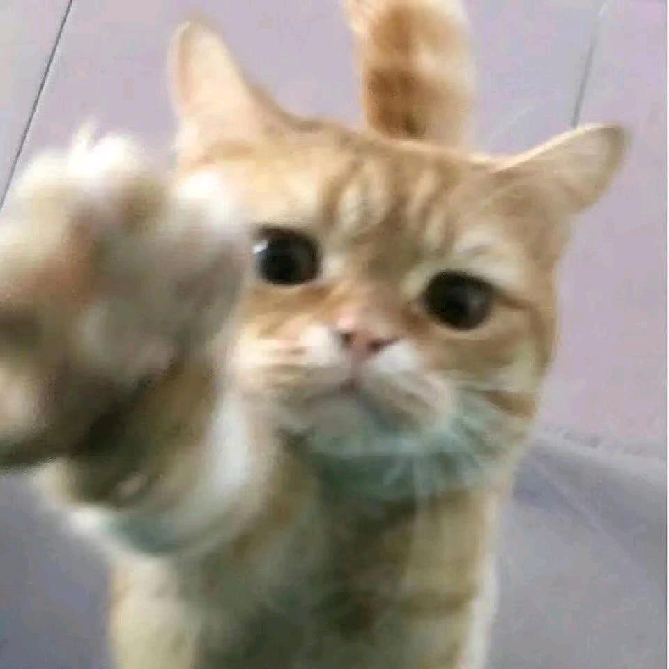 懒洋洋(龙飞队)