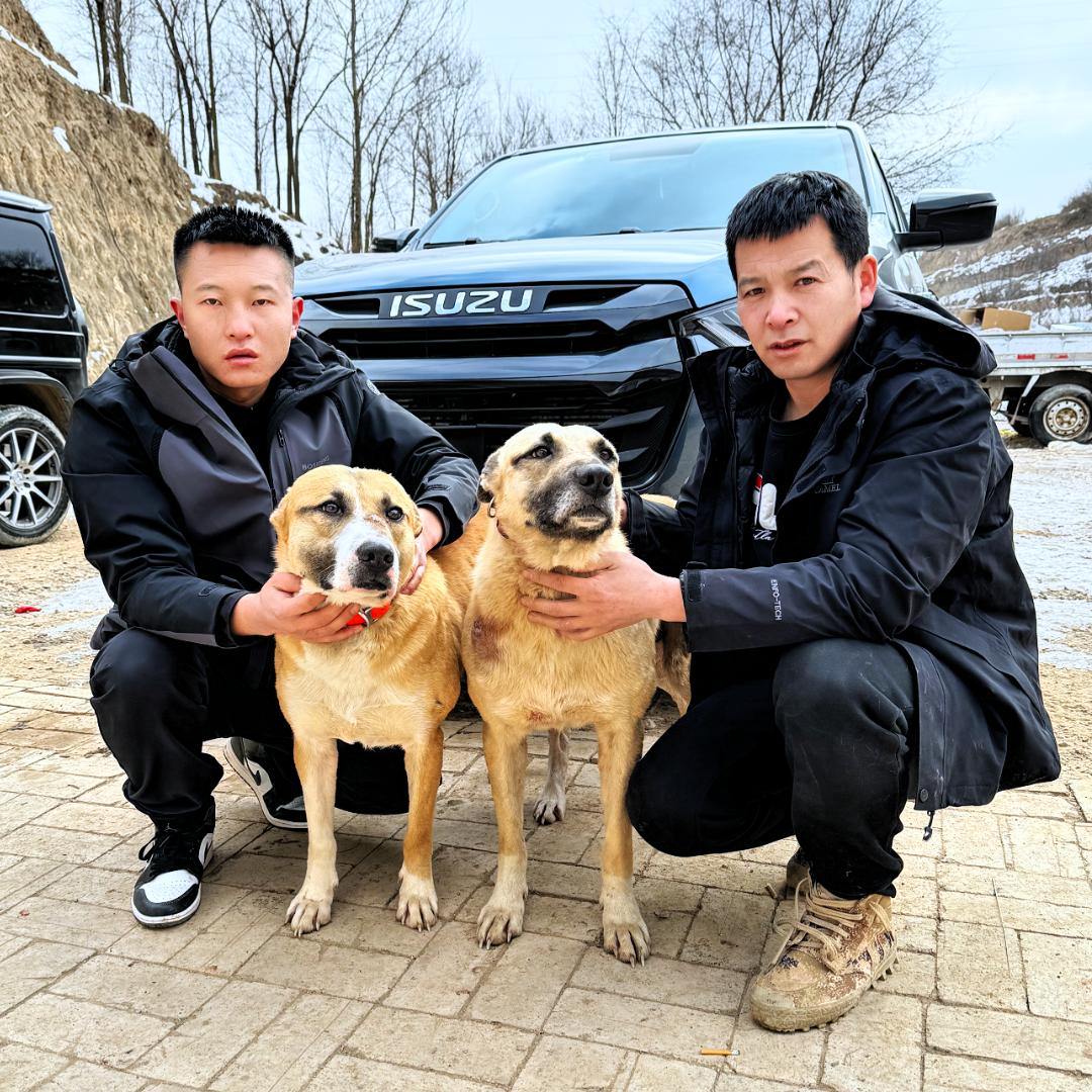 西北刀客-公益护农@抖音