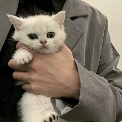 青梧