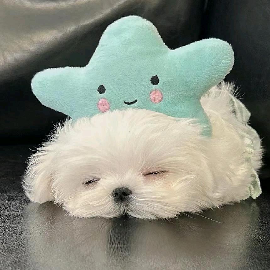 佳慈体检（启东）