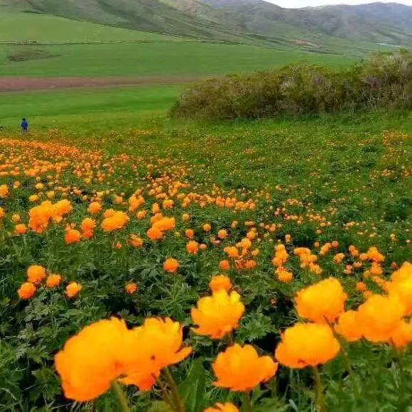 💞封心ꦾ᭄ཽꕥ