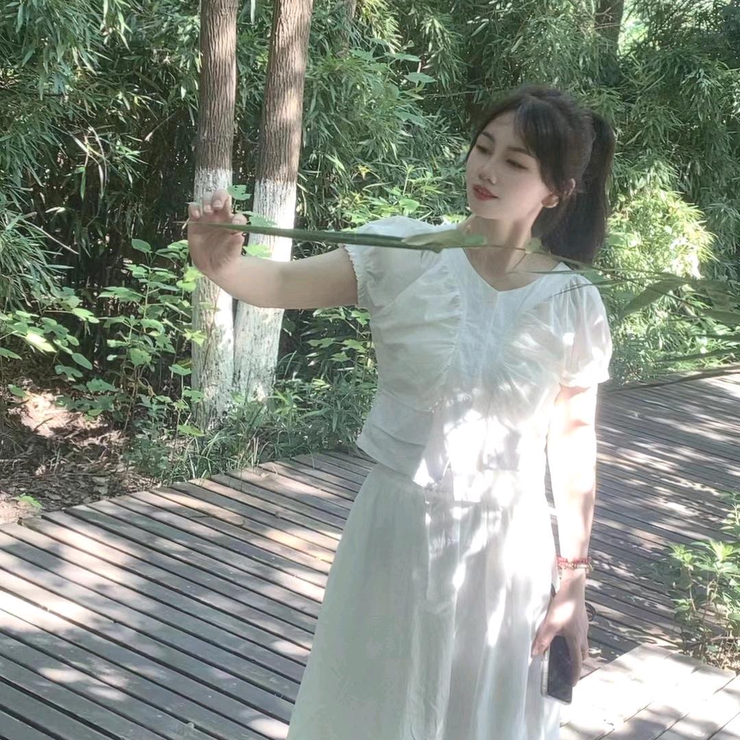 会飞的雁