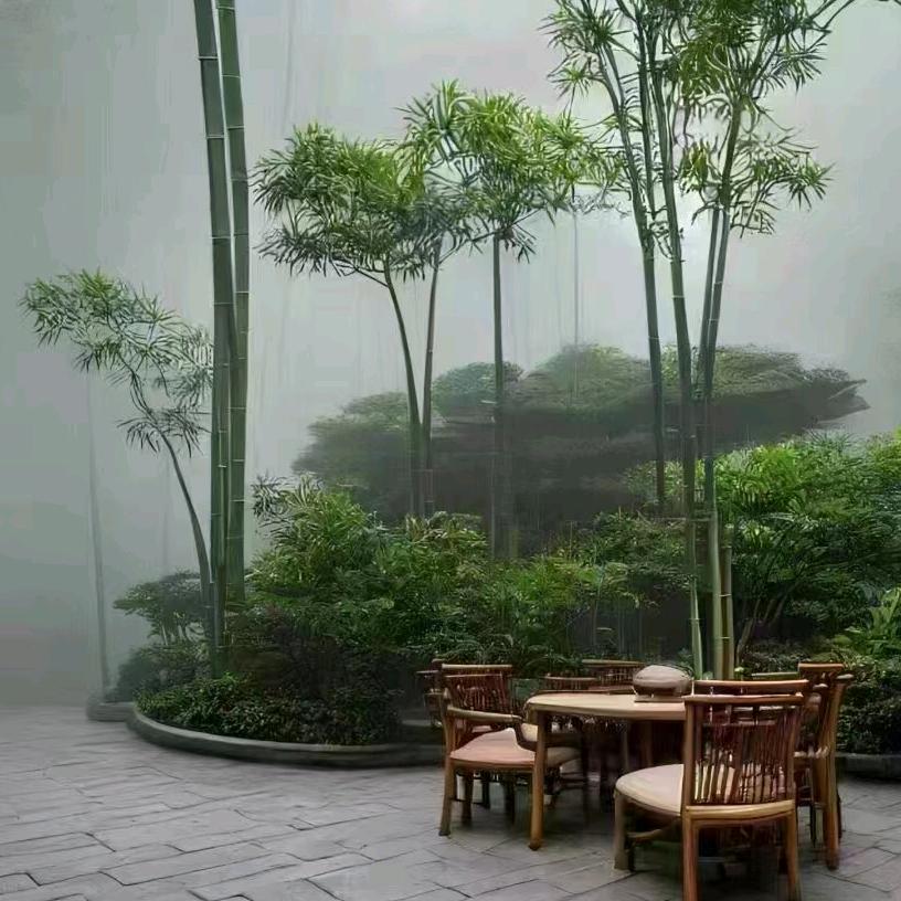 随缘
