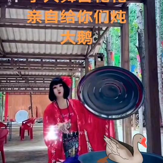 河南花花🌺