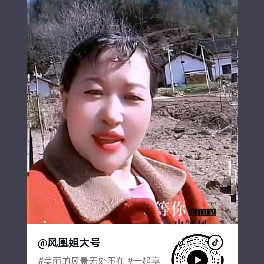 凤凰姐小号