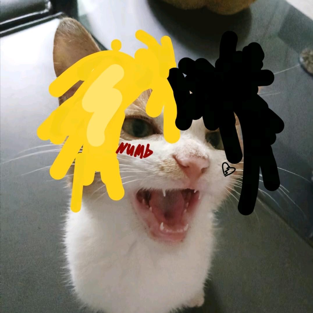 帆高